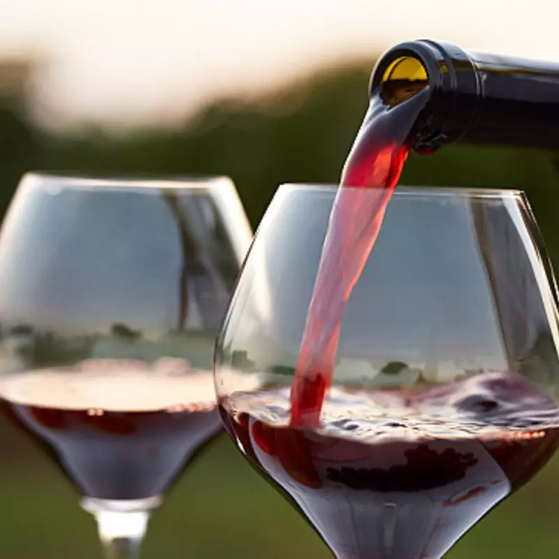 Karakter Red Wine