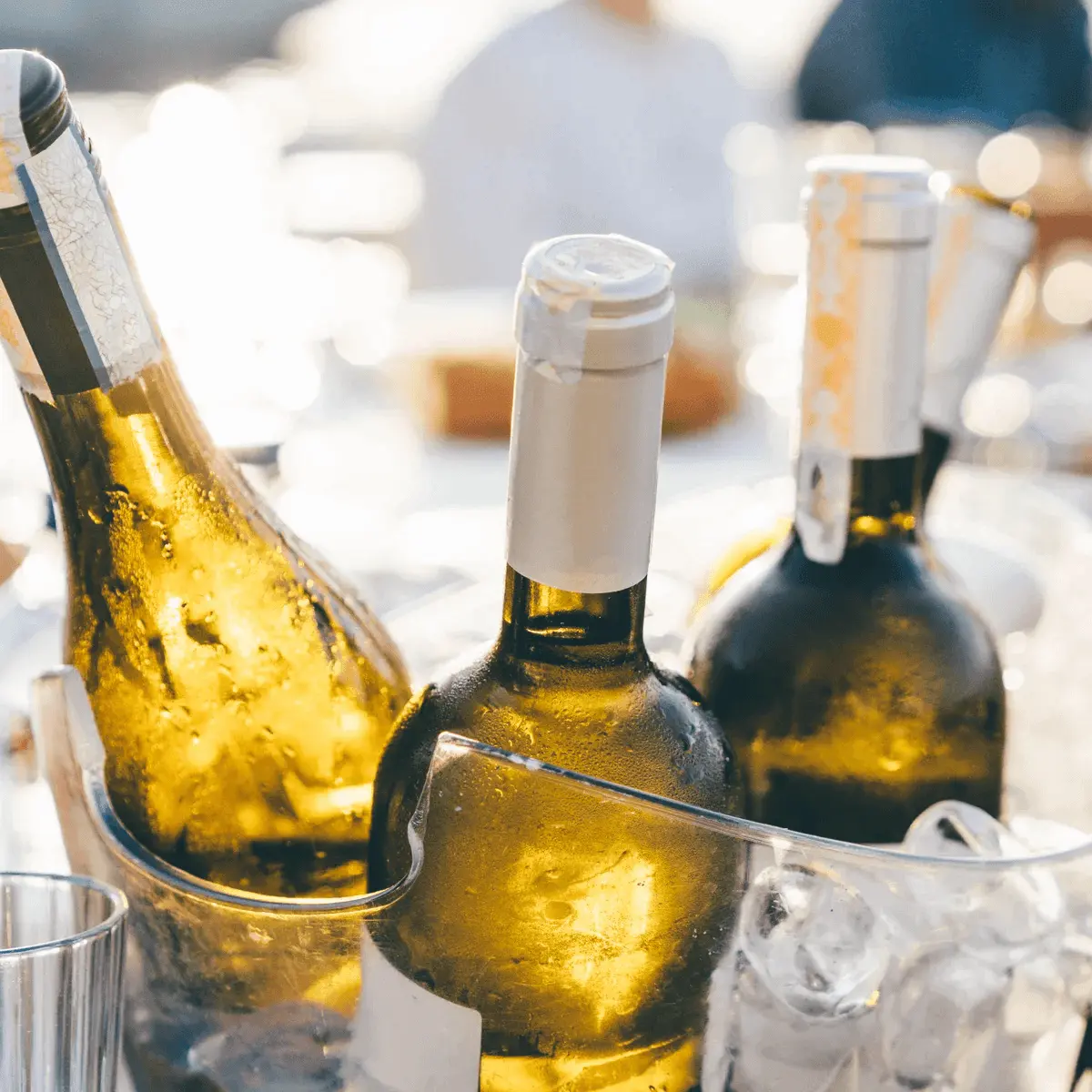 Pilihan Wine yang Cocok Dinikmati dengan Es
