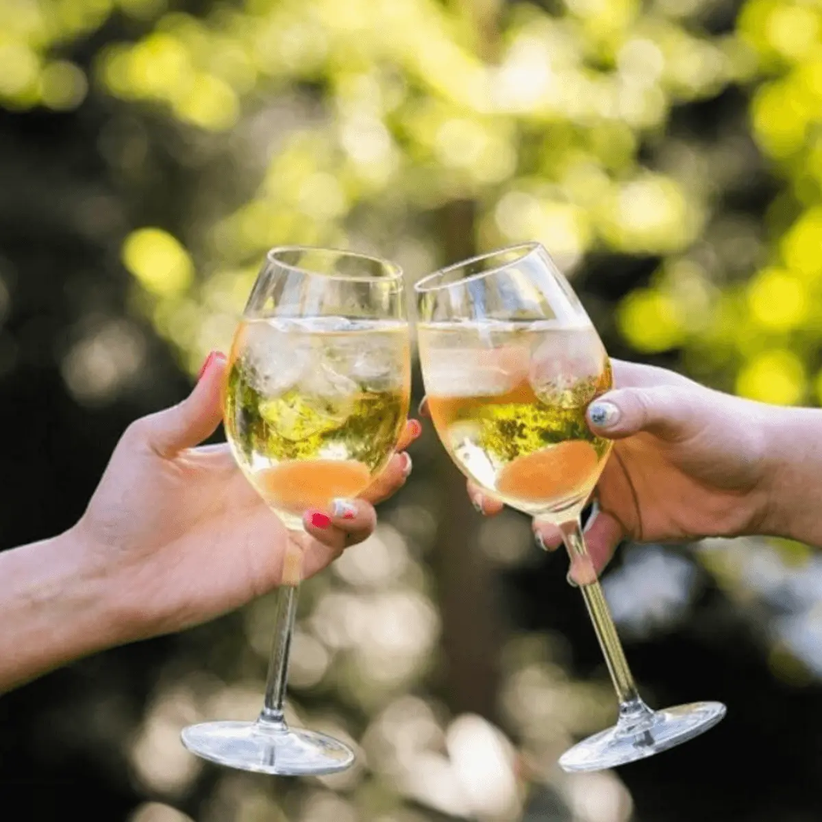 Cara Tepat Menikmati Wine dengan Es